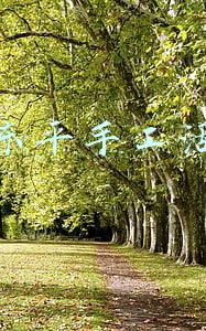 山东东平天气预报(12月28日东平天气预报)