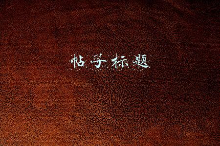 帖子标题