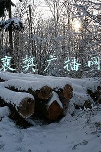 襄阳新闻广播广告(襄阳捣毁一“黑广播”)