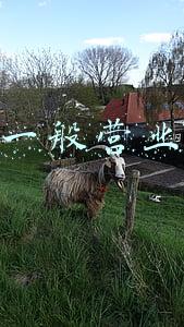 汉堡店利润一般在多少_汉堡店利润一般是百分之几