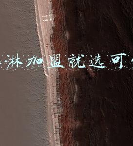 可爱多冰淇淋加盟费多少(体重1450斤！全球最胖的女人嫁高富帅后生下2子，如今过成这样)