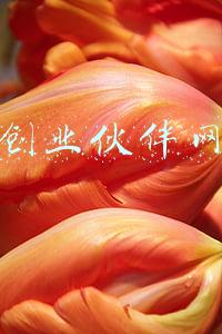 创业伙伴网络(郑州创业伙伴回忆广告狂人叶茂中：他的报价最贵，但从不竞标)