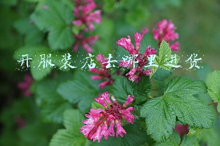 潮流儿童服装店进货(新手开童装店怎样才能赚钱？2022年最全童装创业开店指南)