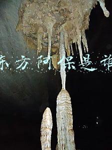 东方阿保是谁