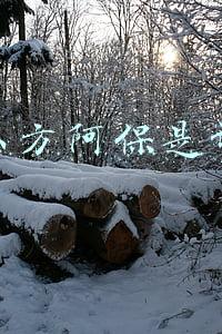 快手东方阿保(快手网红东方阿保高调开直播低调做公益)
