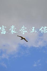 李玉保富豪榜排多少名(网红东方阿保确实挺牛，为灾区捐款200万，遗憾的是剧情没有反转)