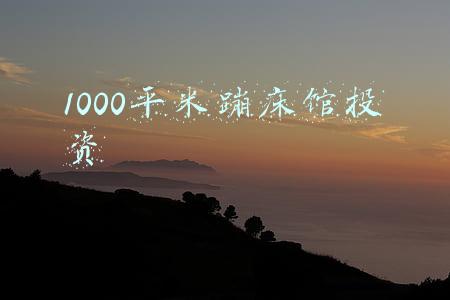 1000平米蹦床馆投资