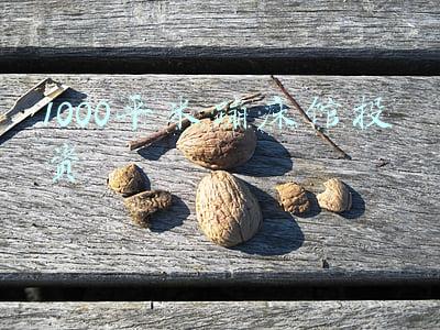 1000平米蹦床馆投资