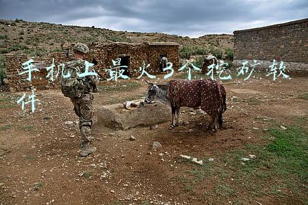 手机上最火3个挖矿软件