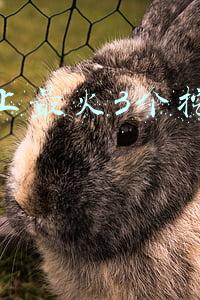 手机上最火3个挖矿软件