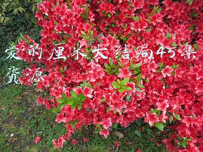 爱的厘米大结局45集资源