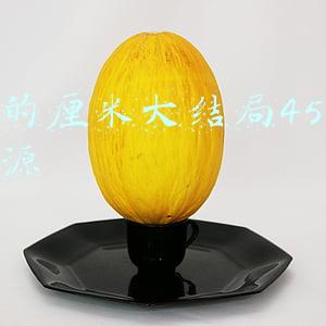 灵蛇爱2021大结局(2021年泰国七台黄金档收视率排行榜：泰剧旋转的爱、猛虎路夺冠亚)