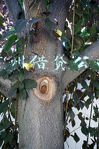 广州借贷公司打电话给我(网贷广告“不打老婆及时到账”遭吐槽，专家：传播效果需考虑社会感受)