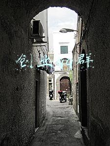 创业qq群名字大全(在一个县创新创业微信群里看到乡村振兴未来)