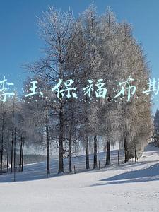 福布斯外贸论坛(从最近40年大陆福布斯榜变迁看财富密码)