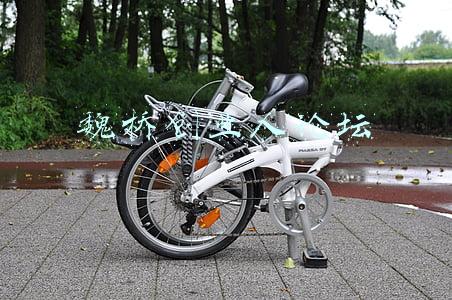魏桥创业人论坛入口(魏桥创业集团董事长张波在跨国公司领导人青岛峰会发言：携手高质量发展 共创更美好未来)