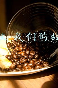 创业 我们的故事