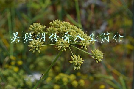 吴胜明传奇人生简介100(她，丈夫出轨，女儿自杀，74岁东山再起，成千万富豪，凭啥？)
