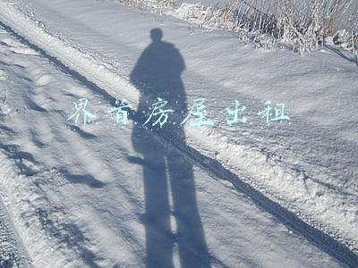 界首房屋出租带暖气(能源更清洁 国土添绿色)