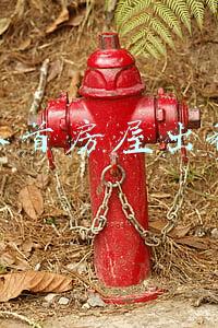 界首房屋出租