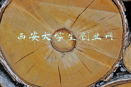 西安创业吧(来领卡，有补贴，1000元！)
