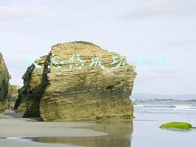 大忽悠成功案例天台(“骗子大王”庞青年，比贾跃亭还狠的造车大忽悠，终于倒了)