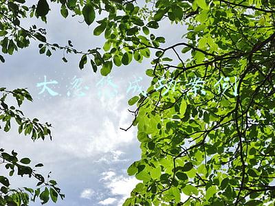 大忽悠成功案例