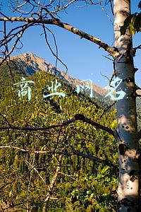 商业网名