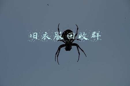 旧衣服回收群