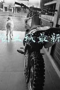 大庆疫情最新消息今天(大庆市应对新型冠状病毒感染肺炎疫情工作领导小组指挥部公告〔2022年第3号〕)