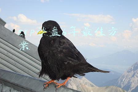 erp沙盘6年最佳方案
