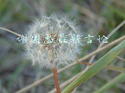 谢国忠最新言论