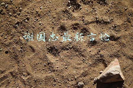 谢国忠最新言论2020(谢国忠复出继续唱空A股：2500点都高了)