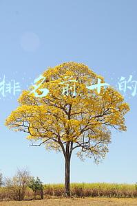创业排名前十的行业