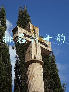 创业排名前十的行业