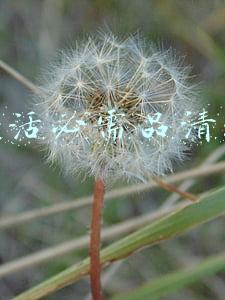 生活必需品清单