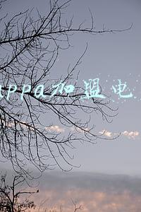 kappa门店电话(发现无名男尸！警方：尸体已白骨化)