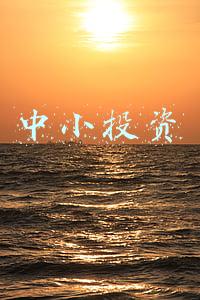 中小投资