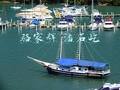 潘石屹的三任妻子介绍(潘石屹要跑？套现数百亿，给美国大学捐款，妻子已加入美国籍)