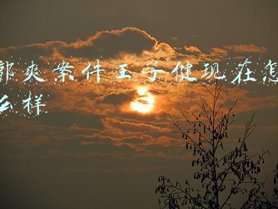 郭爽案件王子健现在怎么样