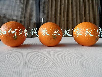 发家致富好项目(未来五年，这两个项目“有钱途”，你了解吗)