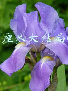 爱的厘米大结局45集