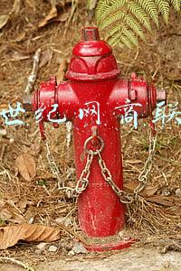 登陆新商联盟网(新金融，大时代！红狐携手新商联盟扬帆“丝绸之路”)
