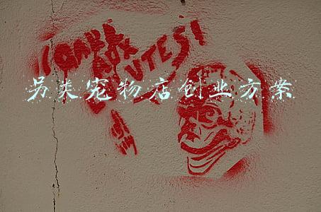 另类宠物店创业方案