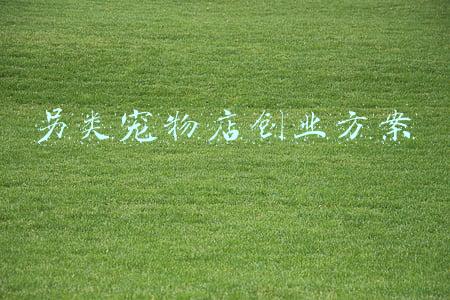 另类宠物店创业方案