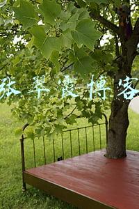 张翠霞博客