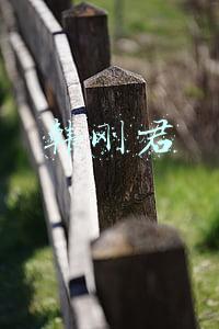 韩刚君