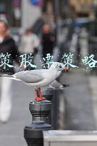 上上策股票策略平台