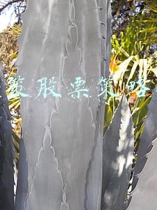 上上策股票策略平台