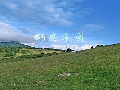巧思集团姚蜜蜜(10万级的“纯电新物种”，比亚迪这只“海豚”如何？)